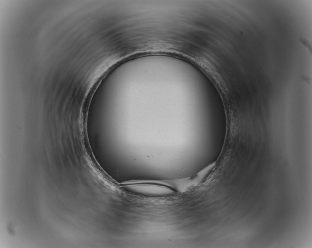 X0000099430990200805231649