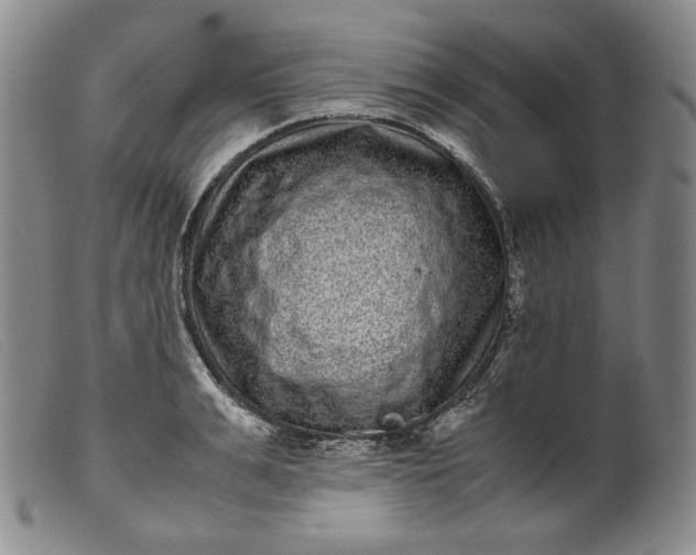 X0000099430991200805231649