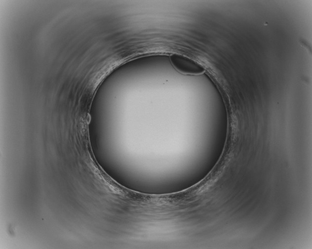 X0000099430993200805231649