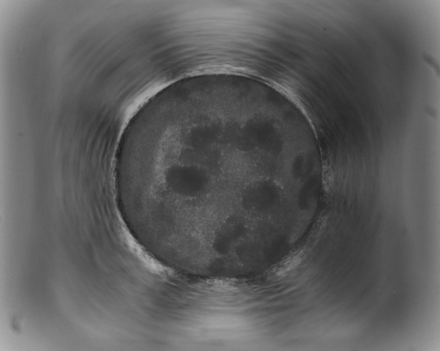 X0000099430995200805231649
