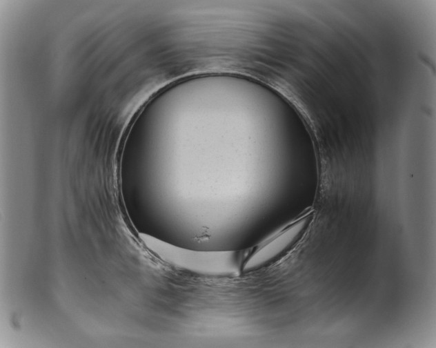 X0000099430996200805231649