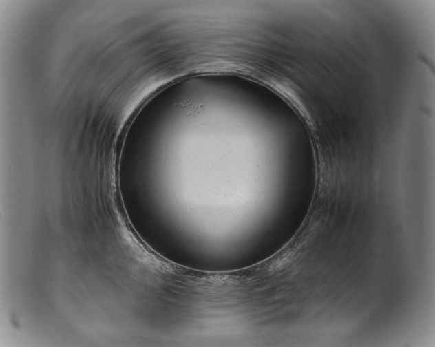 X0000099431000200805231649