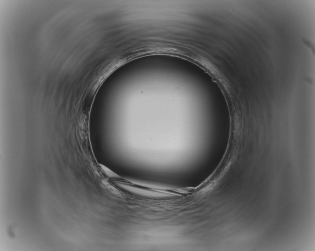 X0000099431001200805231649