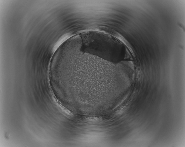 X0000099431002200805231649