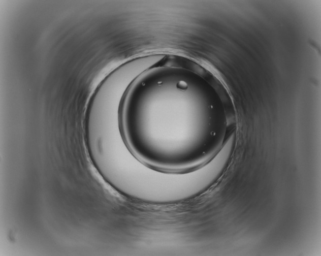 X0000099431005200805231649