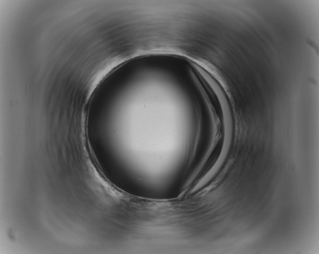 X0000099431006200805231649