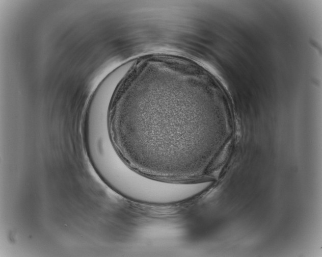 X0000099431007200805231649