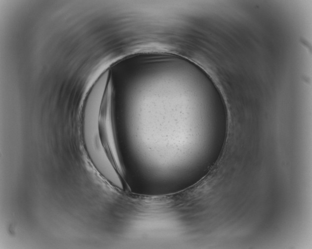 X0000099431008200805231649