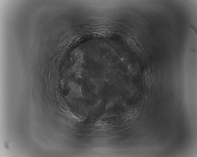 X0000099431009200805231648