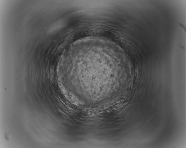 X0000099431011200805231648