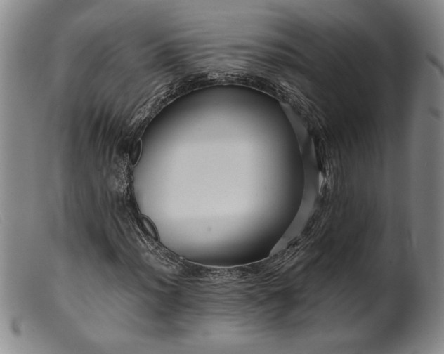 X0000099431012200805231648