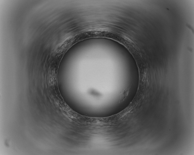 X0000099431014200805231648