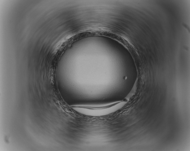 X0000099431016200805231648
