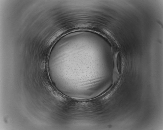 X0000099431017200805231648