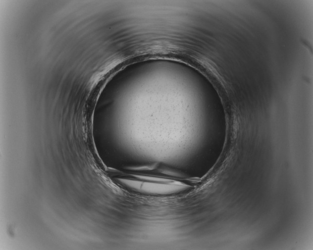 X0000099431018200805231648