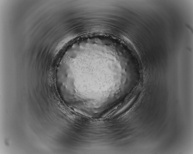 X0000099431019200805231648