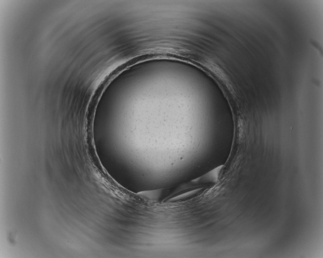X0000099431020200805231648