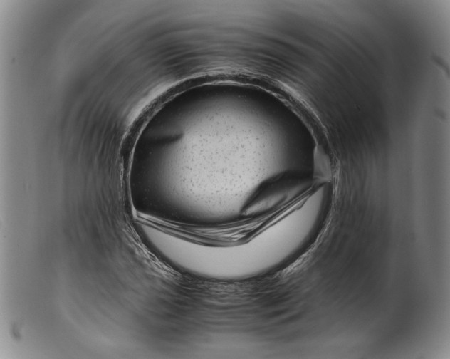 X0000099431021200805231648