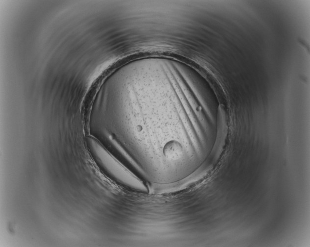 X0000099431022200805231648