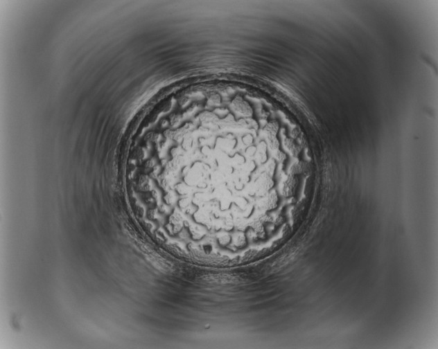 X0000099431023200805231648