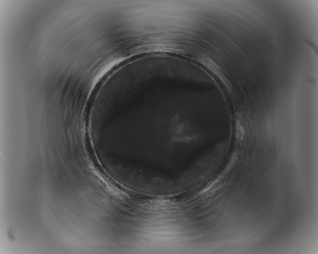X0000099431024200805231648