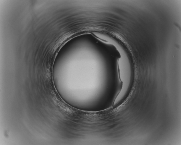 X0000099431025200805231648