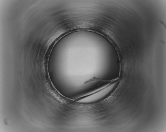 X0000099431026200805231648