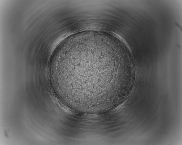 X0000099431027200805231648