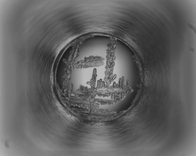 X0000099431028200805231648