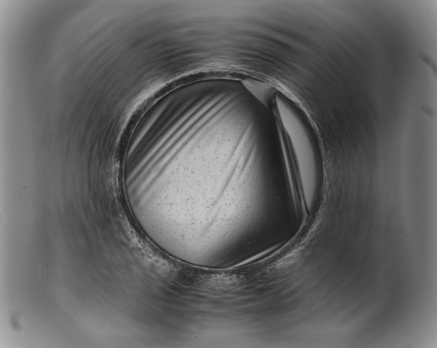 X0000099431029200805231648