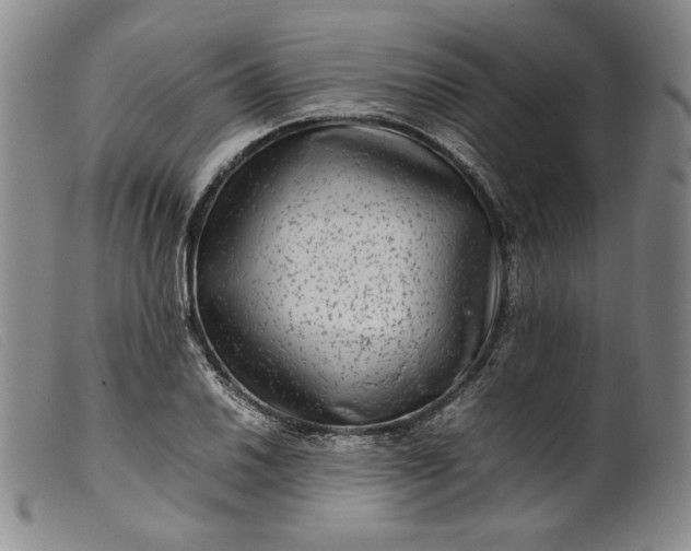 X0000099431030200805231648
