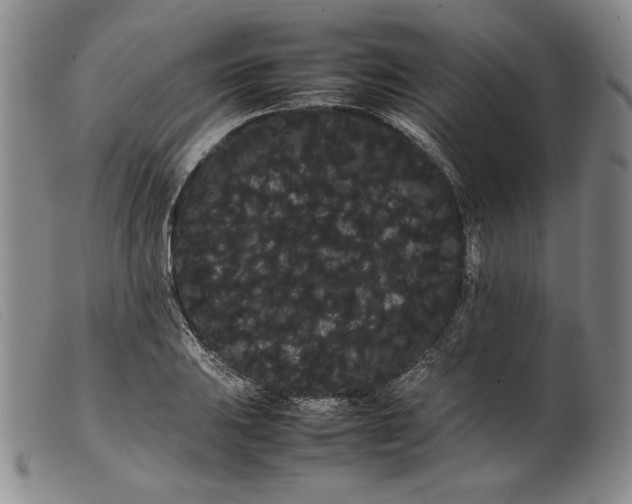 X0000099431031200805231648