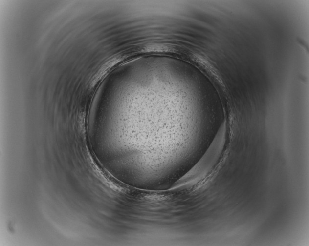 X0000099431033200805231648