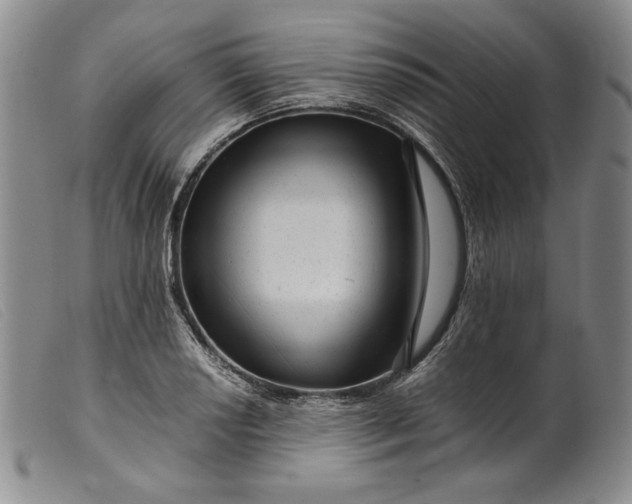 X0000099431034200805231648