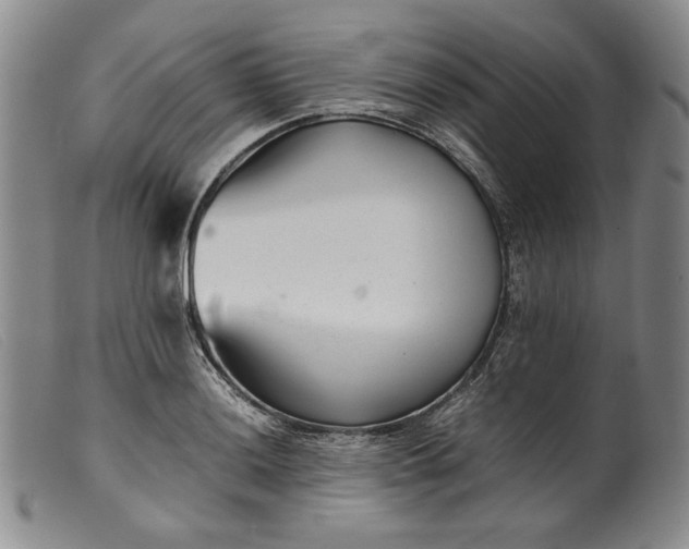 X0000099431036200805231648