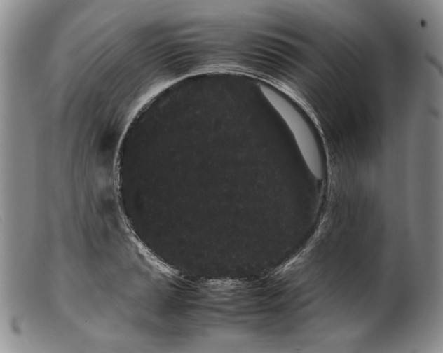 X0000099431037200805231648