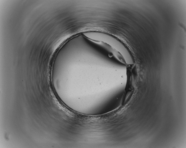 X0000099431038200805231648
