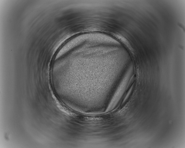 X0000099431039200805231648