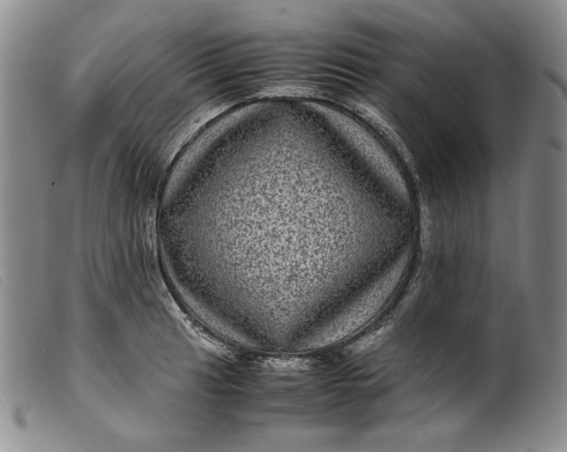 X0000099431041200805231648