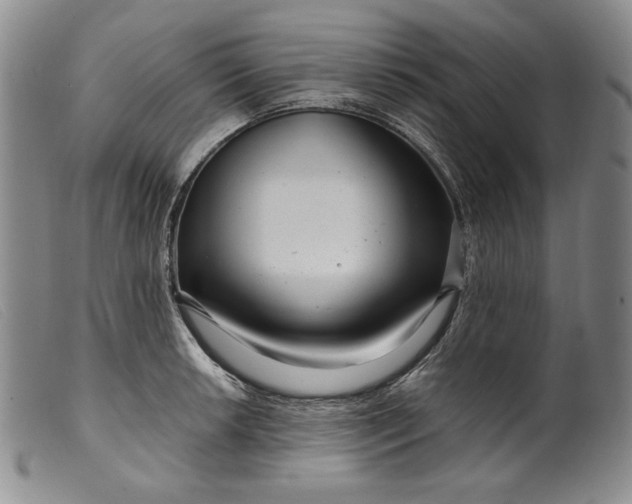 X0000099431042200805231648