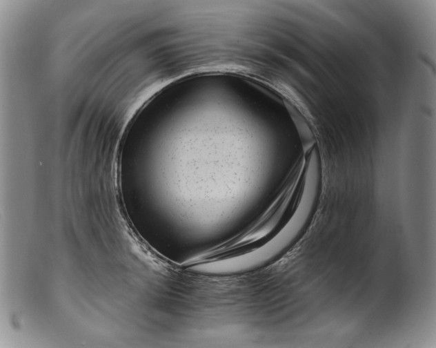 X0000099431044200805231648