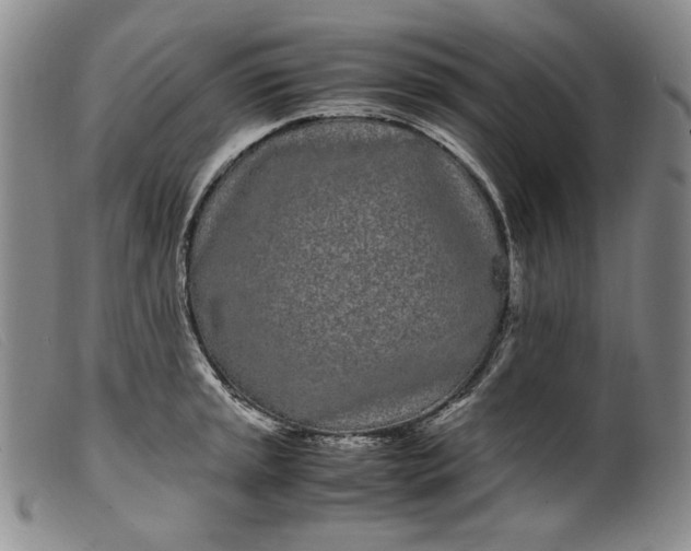 X0000099431045200805231648