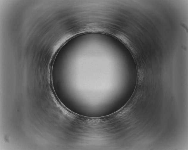 X0000099431046200805231648