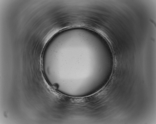 X0000099431047200805231648
