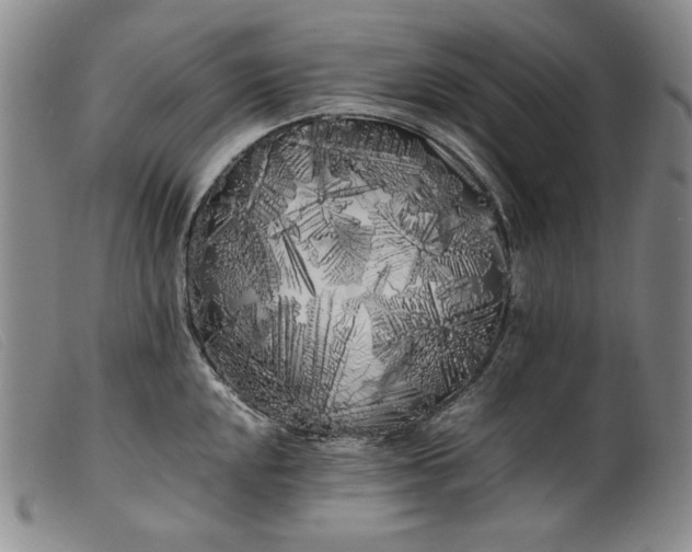 X0000099431048200805231648