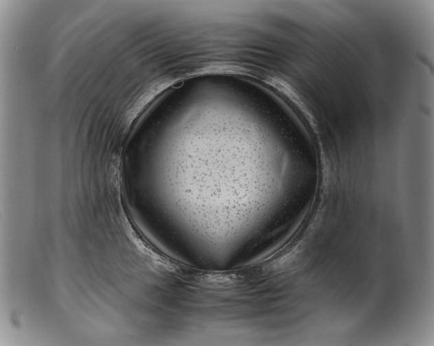 X0000099431049200805231648