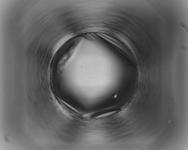 X0000099431050200805231648
