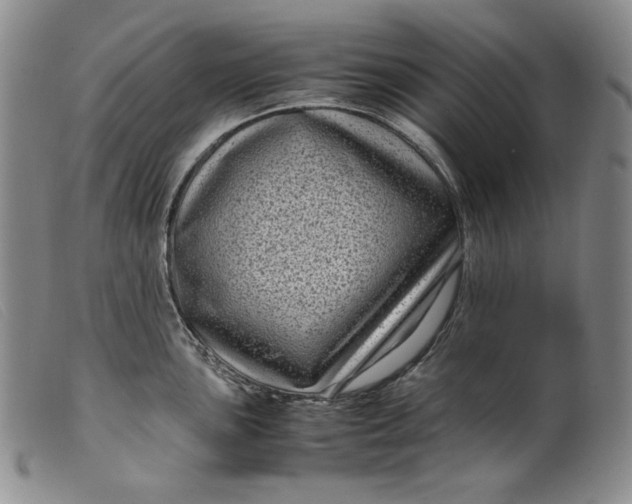 X0000099431051200805231648
