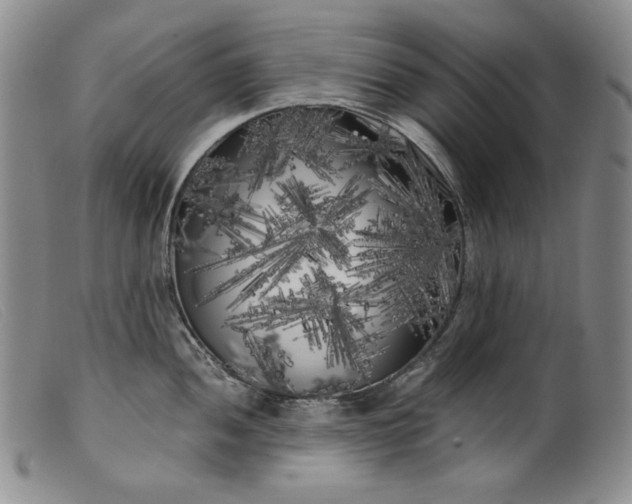 X0000099431052200805231648