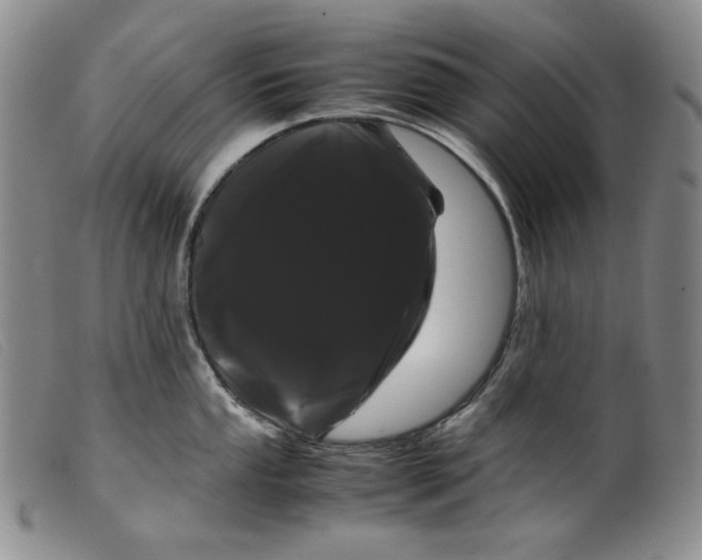 X0000099431053200805231649
